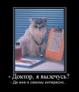 №28 Катерина Александрова