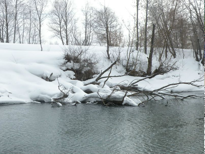 Гульнур Шарафеева | Казань