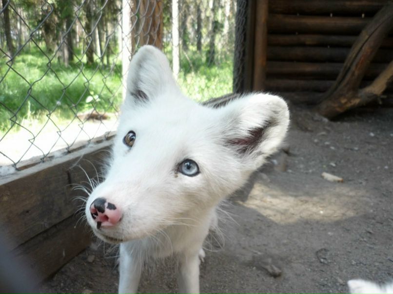 №89, Наталья Попова, 36 лет, Петрозаводск №89, Наталья Попова, 36 лет, Петрозаводск