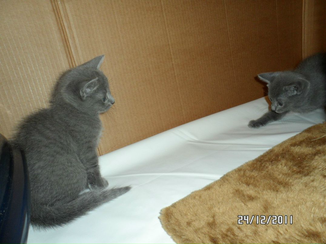 Ирина Егорова | Санкт-Петербург