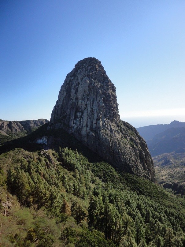 Елена Васина | Санкт-Петербург