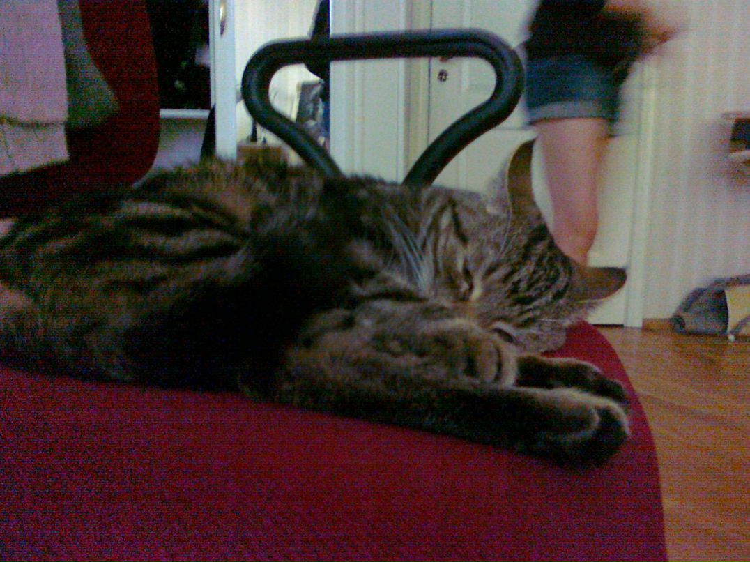 Гена Delafly 0_0 | Санкт-Петербург