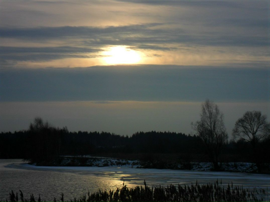 Елена Батусова (Зуева) | Санкт-Петербург