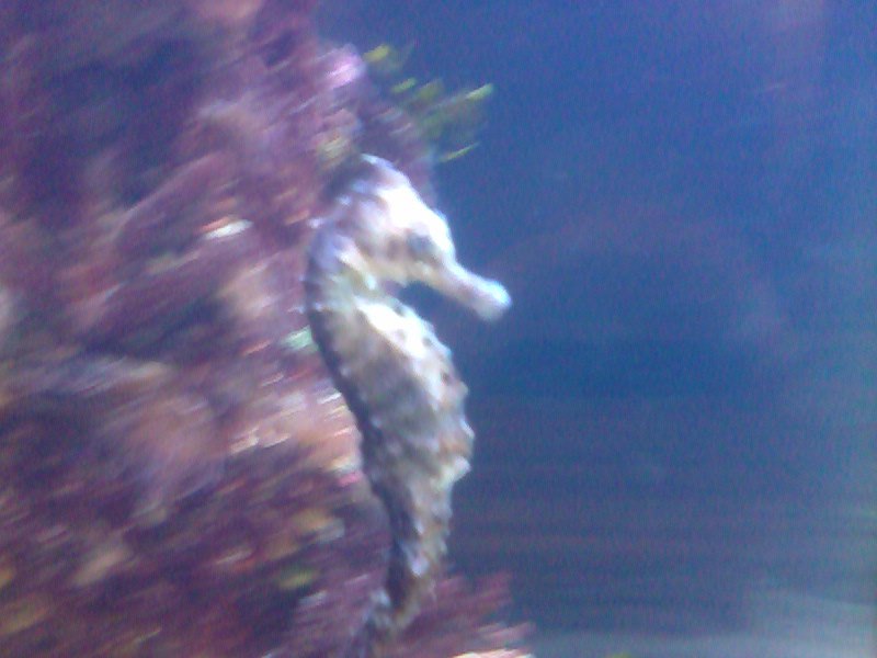 Татьяна Баранова | Санкт-Петербург