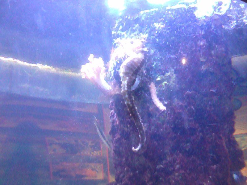 Татьяна Баранова | Санкт-Петербург