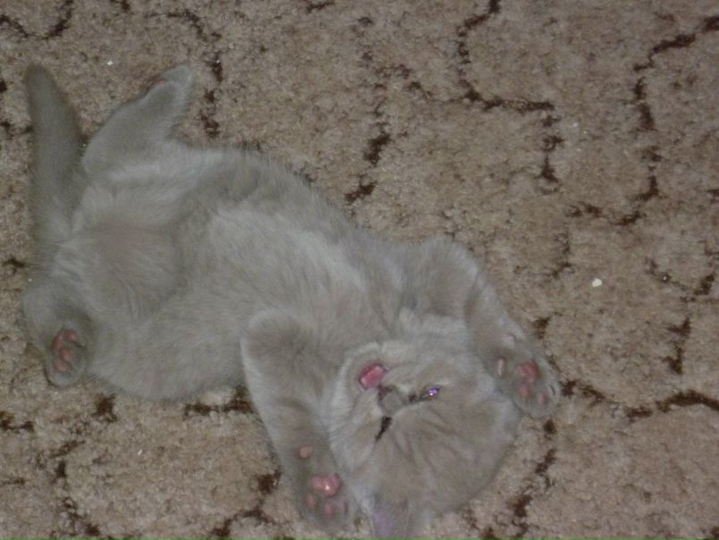 №50, Лусинэ Кияткина №50, Лусинэ Кияткина