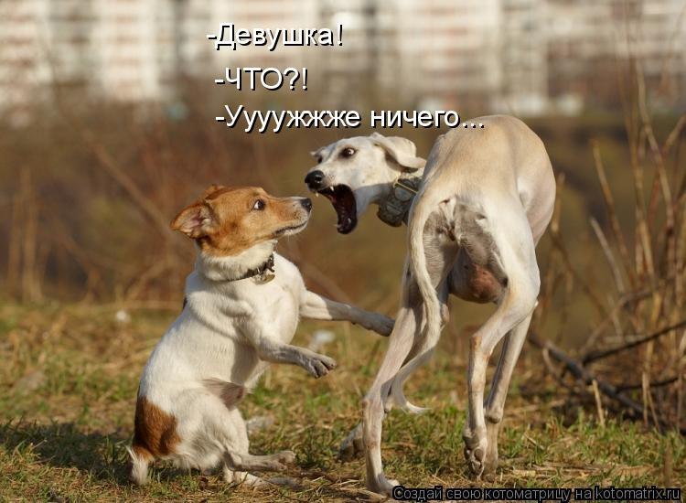 Оксана Кобина | Москва