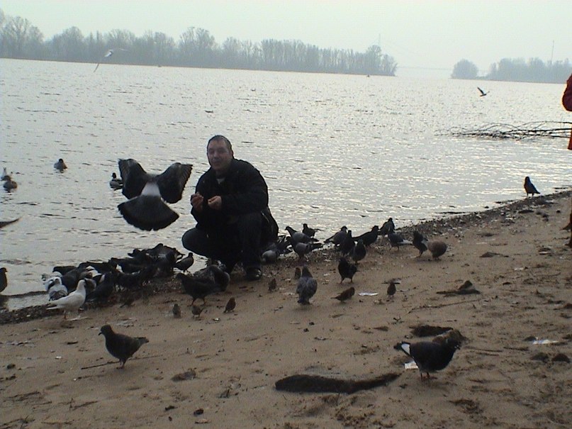 Миша Покровский вячеславович | Киев