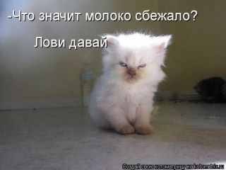 Светлана Киселёва | 