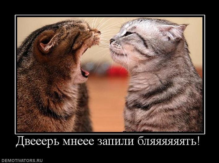 Дмитрий Блинов Владимирович | Киров