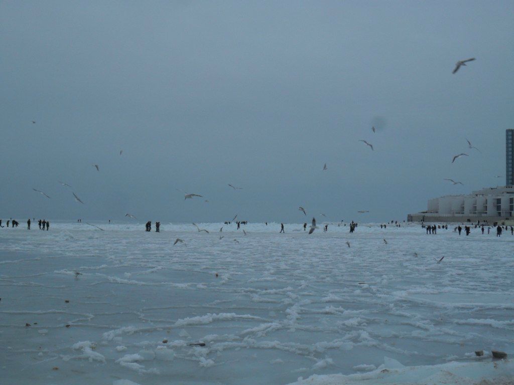 Ира Шумская | Одесса