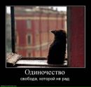 Фотография Странная Личность
