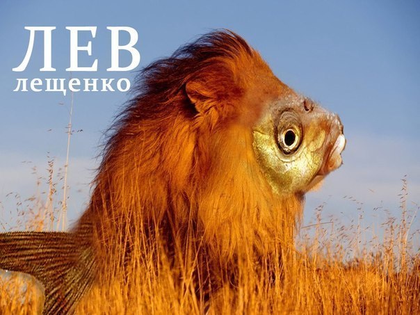 №84, Роман Николаевич №84, Роман Николаевич