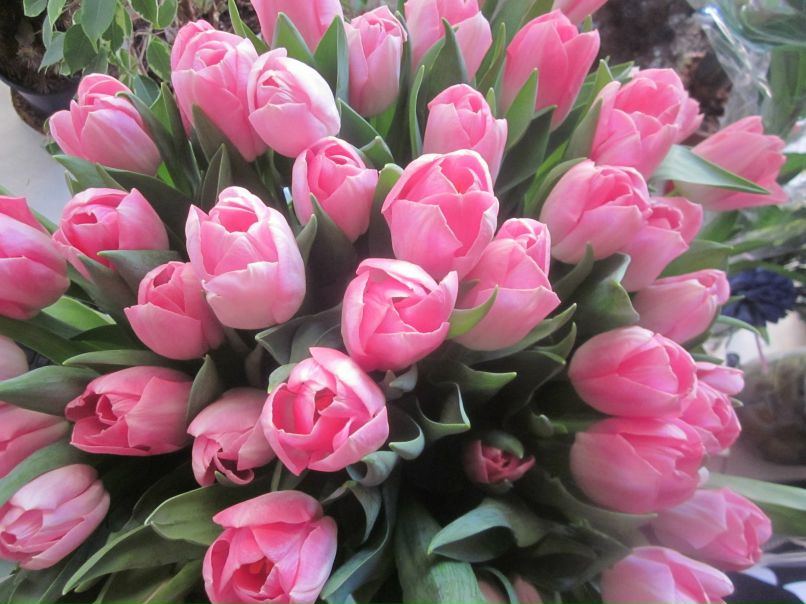 Анна Муромцева | Санкт-Петербург