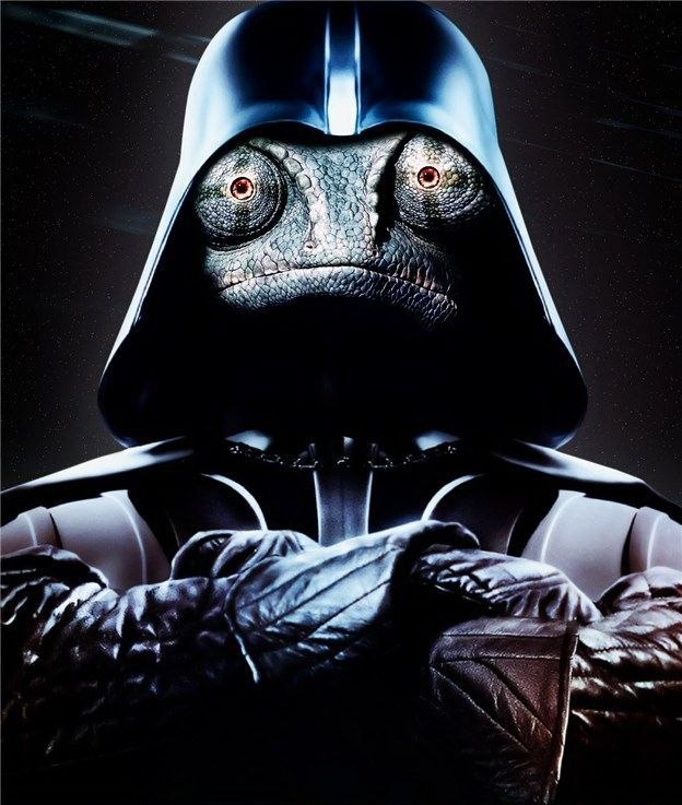 Евгений Климанцев | Москва