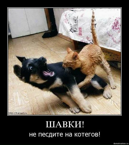 №107, Аня Кокарева, Пермь №107, Аня Кокарева, Пермь