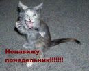 Фотография Владислав Александров