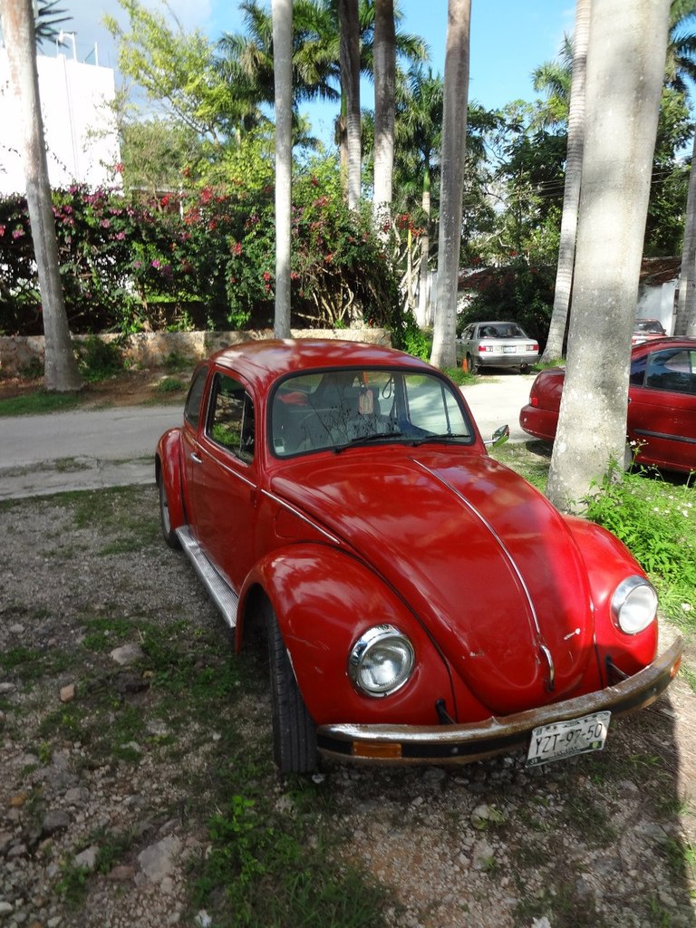 Евгений Чесалин | Москва