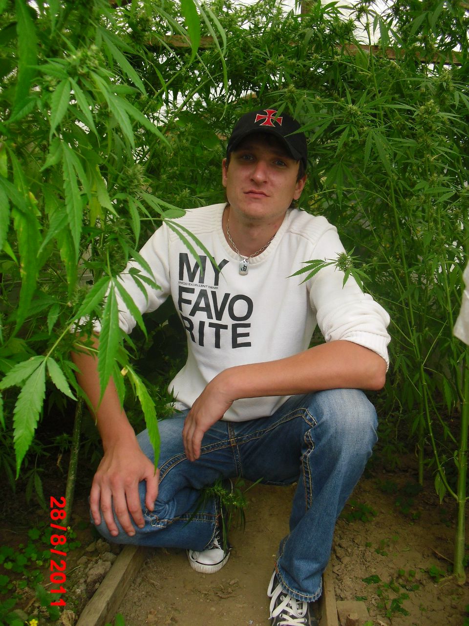 Алексей Алексеев | Nürnberg