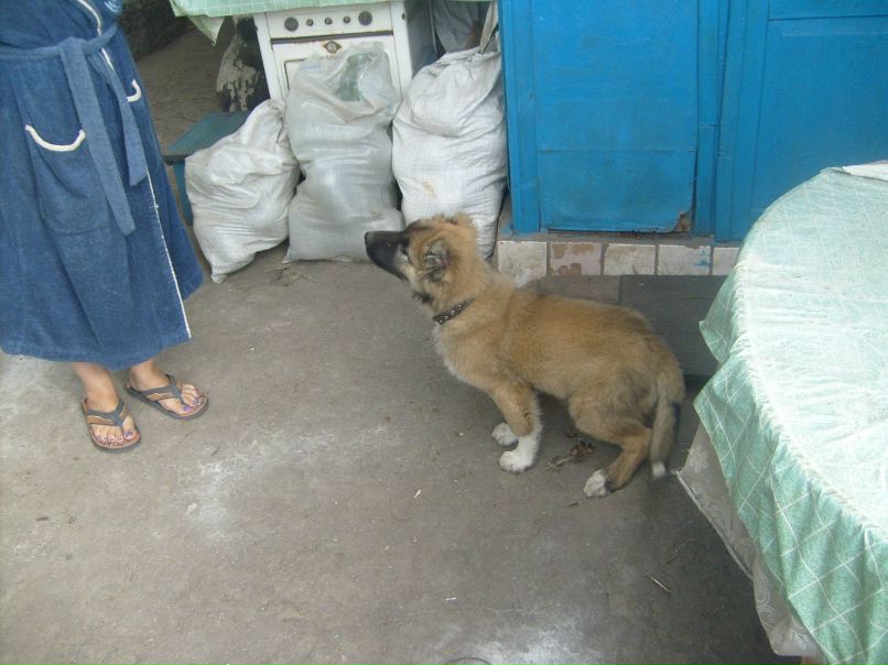 Brain Oconer | Днепр (Днепропетровск)