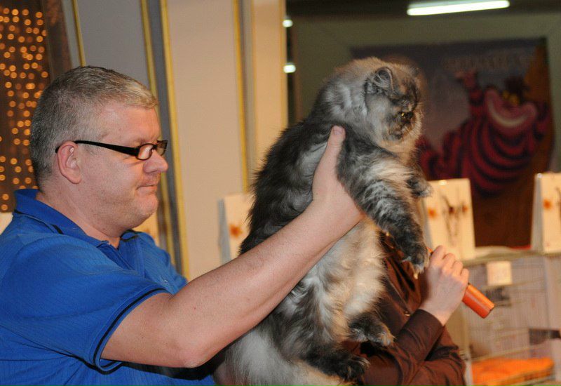 №192, Екатерина Шаповалова, Одесса №192, Екатерина Шаповалова, Одесса