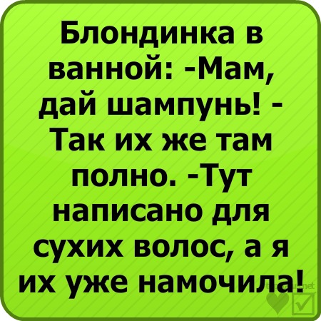№56, Ольга Митрохина, Киев №56, Ольга Митрохина, Киев