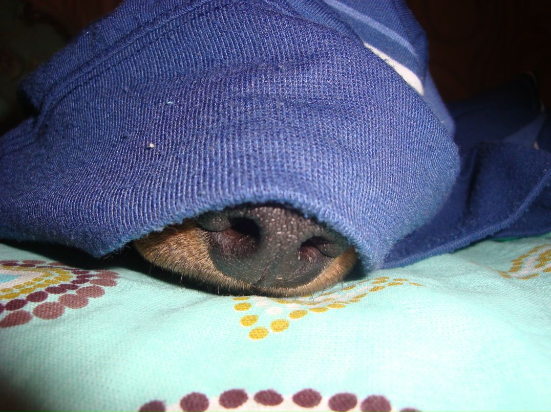 Танюша Кичигина | Вологда