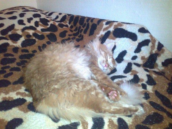 Віталій Базалук | Винница