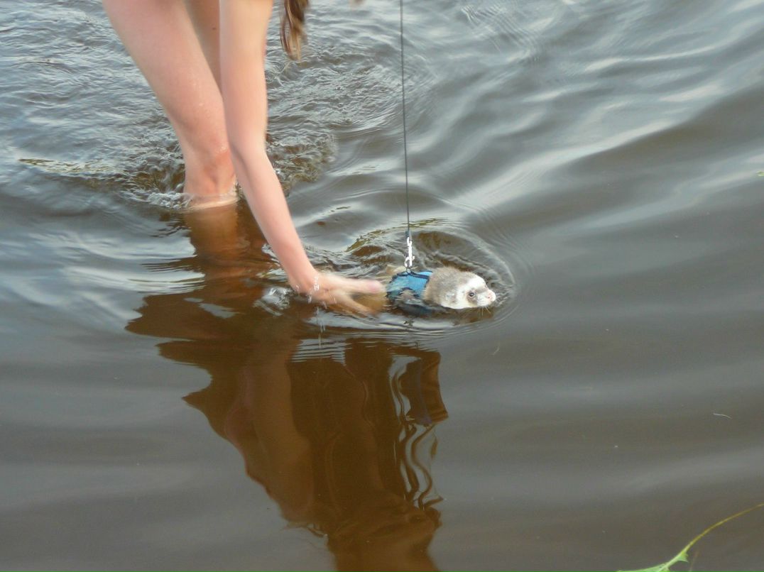 Олеся Абросимова | Санкт-Петербург