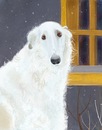 №41 Елена Дымова : профиль, фото, статус - ВКонтакте