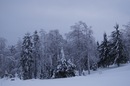 Фотография Нипарко Евгения