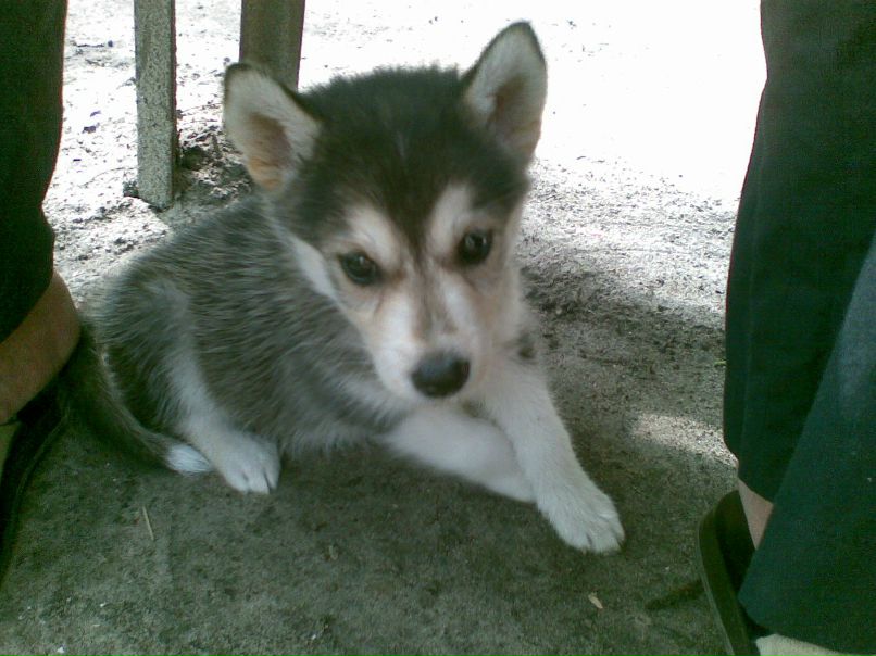 Лина Пасухина | Кривой Рог