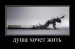 Леша Хомейкин фотография #44