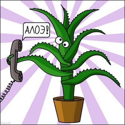 Мила Приходько | Оренбург