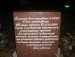 Виталий Быстров фотография #39
