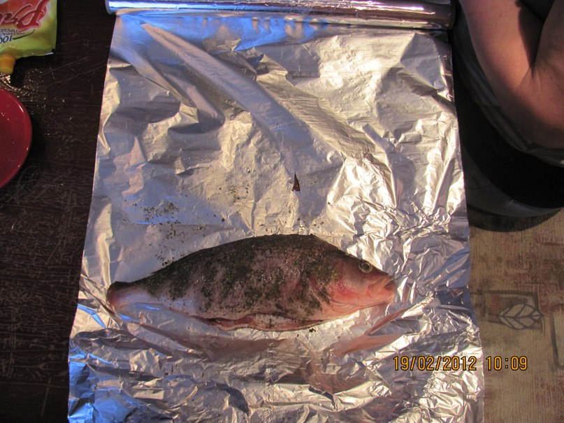 Николай Толмачёв | Пермь