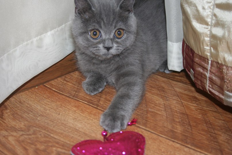 Ирина Петрова | Курган