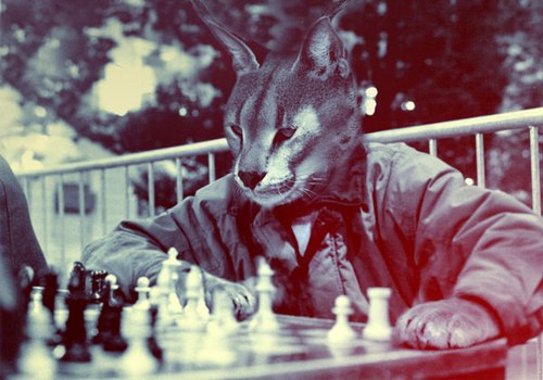 Вадим Чирский | Киев