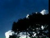 Миша Еремин | Москва