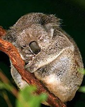 №170, Анастасия Фурсова, 26 лет №170, Анастасия Фурсова, 26 лет