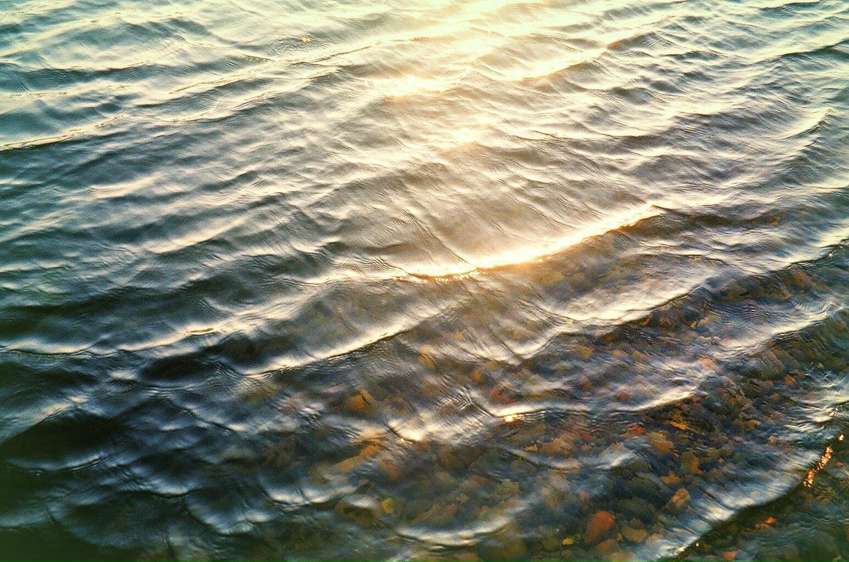 Саша Белинская | 