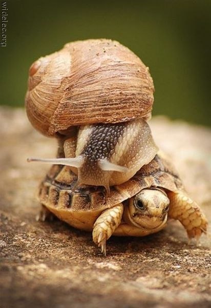 Софья Борисова | Москва