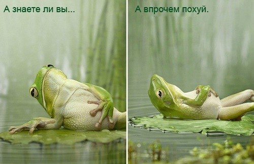 Дана Мутурганова | Алматы