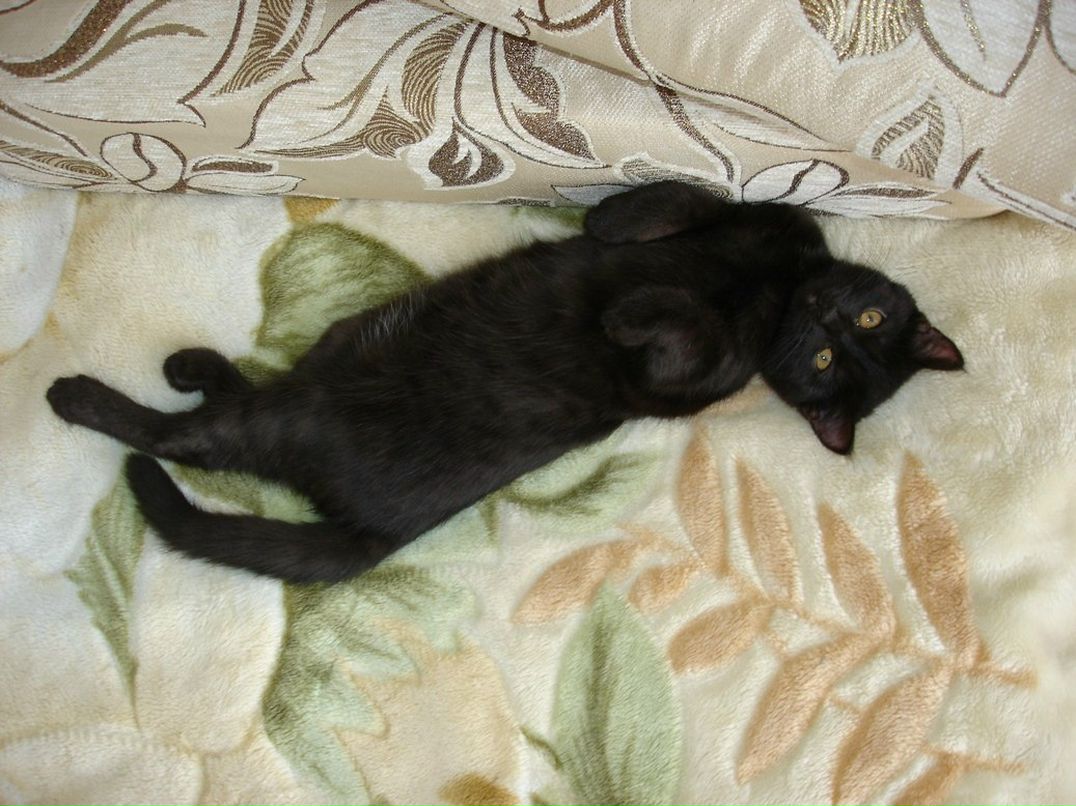 Василий Гаврилов Александрович | Пермь