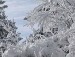 Катя Садритдинова фотография #7