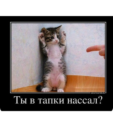 Денис Дюков | Санкт-Петербург