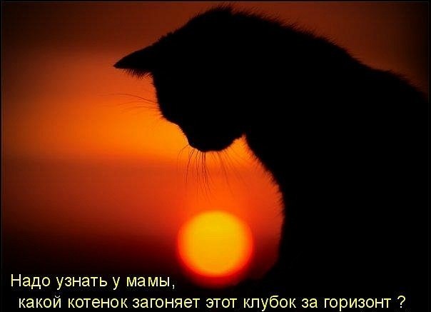 Рустам Валеев | Уфа