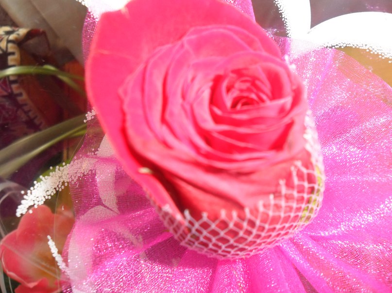 Вероника Максимова | Рославль