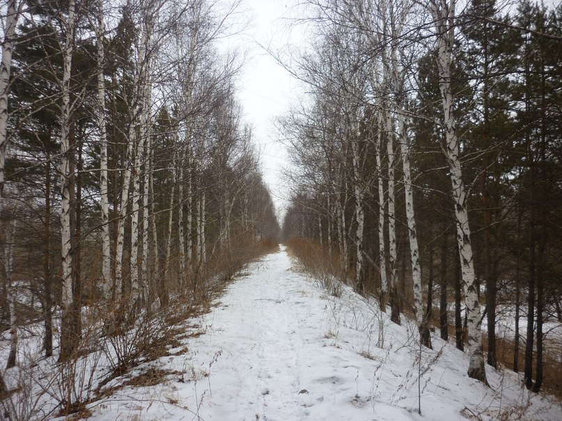 Андрей Гуцалюк | Уссурийск