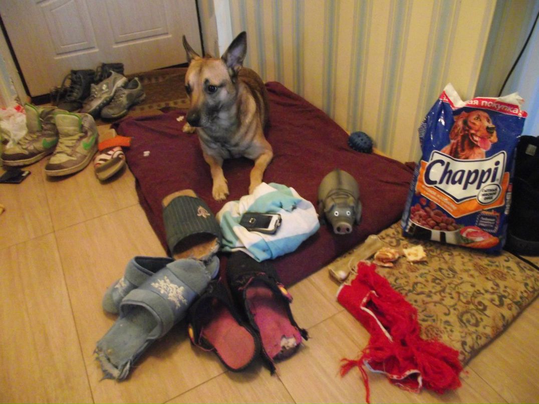 Наташа Королева | Москва